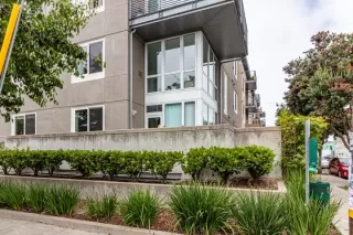 Photo #1: 41081240 Listing