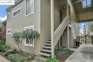 Photo #4: 41081497 Listing