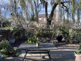 Photo #2: 41081566 Listing