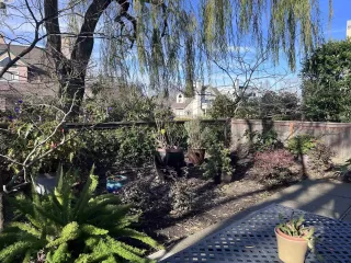 Photo #3: 41081566 Listing