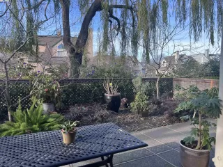 Photo #4: 41081566 Listing