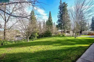 Photo #1: 41081572 Listing 