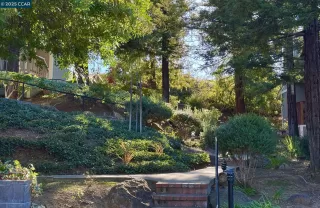 Photo #1: 41082040 Listing 
