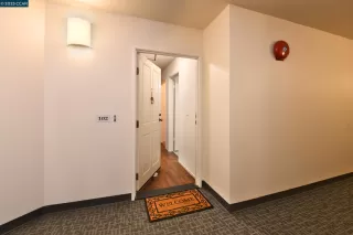 Photo #1: 41082691 Listing