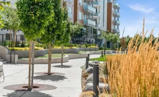 More Details about MLS # 41082814 : 45128 WARM SPRINGS BLVD # 311