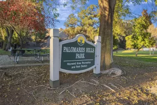 Photo #5: 41083489 Listing