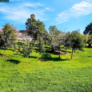 Photo #6: 41083511 Listing 