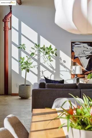 Photo #5: 41083620 Listing 