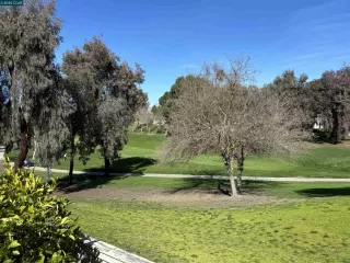 Photo #6: 41083980 Listing 