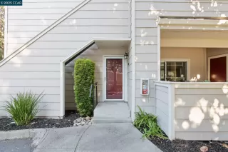 Photo #1: 41084259 Listing