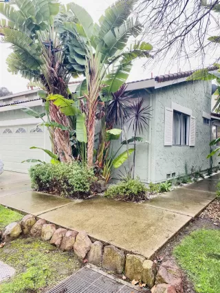 Photo #1: 41084733 Listing