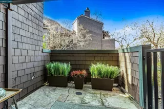 Photo #3: 41084836 Listing