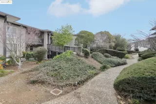 Photo #1: 41085119 Listing