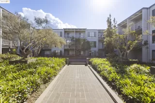 Photo #6: 41085866 Listing