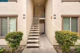 Photo #1: 41086766 Listing