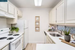 Photo #6: 41086766 Listing