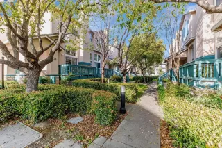 Photo #2: 41086882 Listing