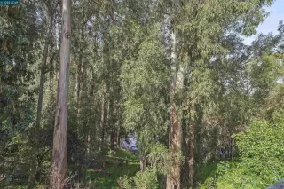 Photo #5: 41087052 Listing 