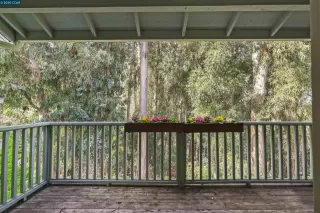 Photo #6: 41087052 Listing 