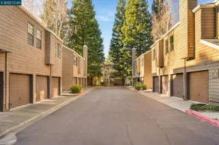 Photo #6: 41087216 Listing 