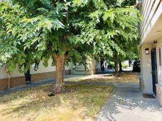 Photo #4: 41087462 Listing