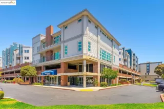 Photo #1: 41087600 Listing