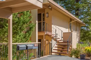 Photo #1: 41088129 Listing 