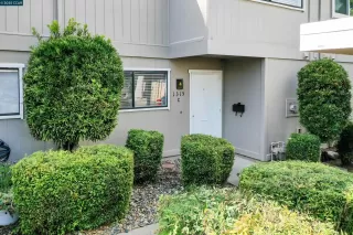 Photo #1: 41088198 Listing 