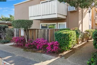 Photo #1: 41088670 Listing