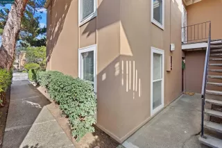 Photo #2: 41088670 Listing