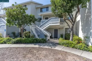 Photo #1: 41088843 Listing