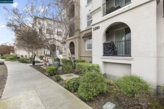 Photo #1: 41088911 Listing