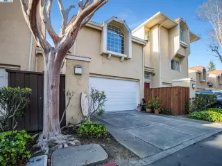 Photo #1: 41089197 Listing 