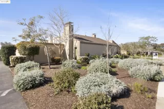 Photo #3: 41089242 Listing 
