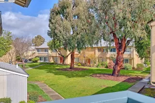 Photo #1: 41089273 Listing 