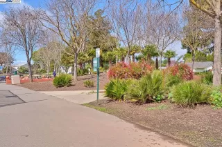 Photo #3: 41089273 Listing 