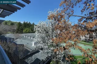 Photo #4: 41089637 Listing