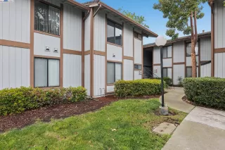 Photo #1: 41089648 Listing 