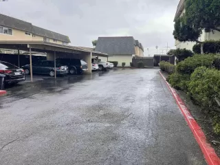 Photo #1: 41089734 Listing 