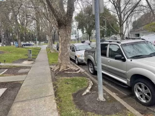 Photo #3: 41089734 Listing 