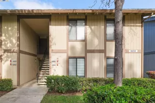 Photo #1: 41090335 Listing 