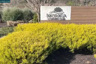 Photo #1: 41090466 Listing 