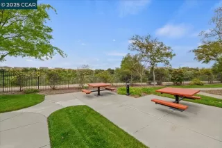 Photo #6: 41091108 Listing