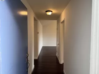 Photo #1: 41091219 Listing