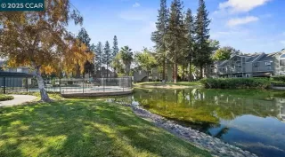 Photo #1: 41091302 Listing 