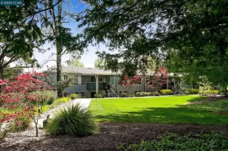 Photo #3: 41091519 Listing 