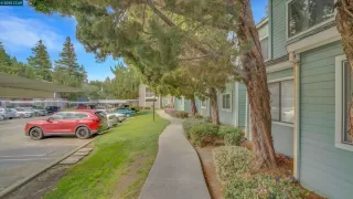 Photo #1: 41091585 Listing