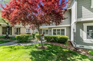 Photo #1: 41091971 Listing 