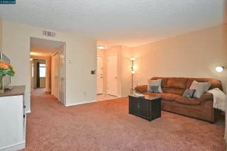 Photo #1: 41092045 Listing 