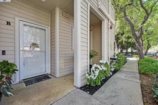 Photo #1: 41092061 Listing